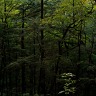 D700 White Balance & Exposure Tests